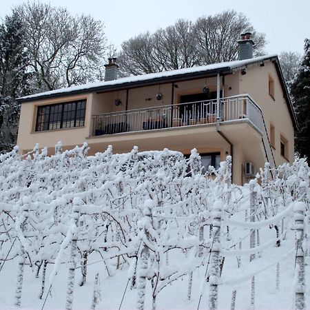 Appartement Casavitis Erholung Am Weinberg à Lontzen Extérieur photo