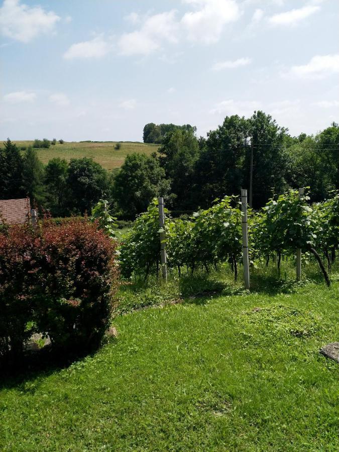 Appartement Casavitis Erholung Am Weinberg à Lontzen Extérieur photo