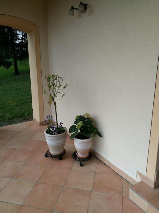 Appartement Casavitis Erholung Am Weinberg à Lontzen Extérieur photo
