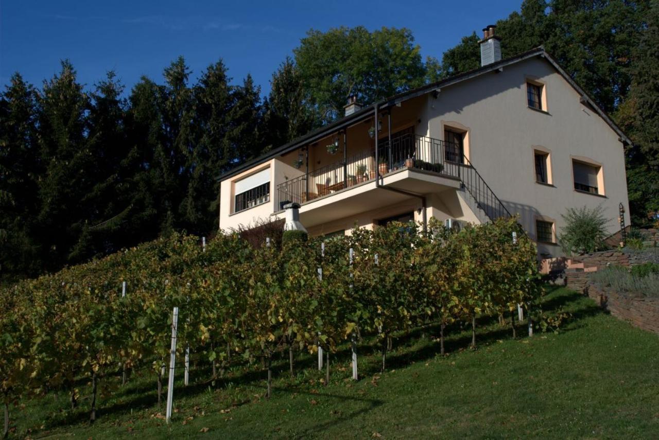 Appartement Casavitis Erholung Am Weinberg à Lontzen Extérieur photo