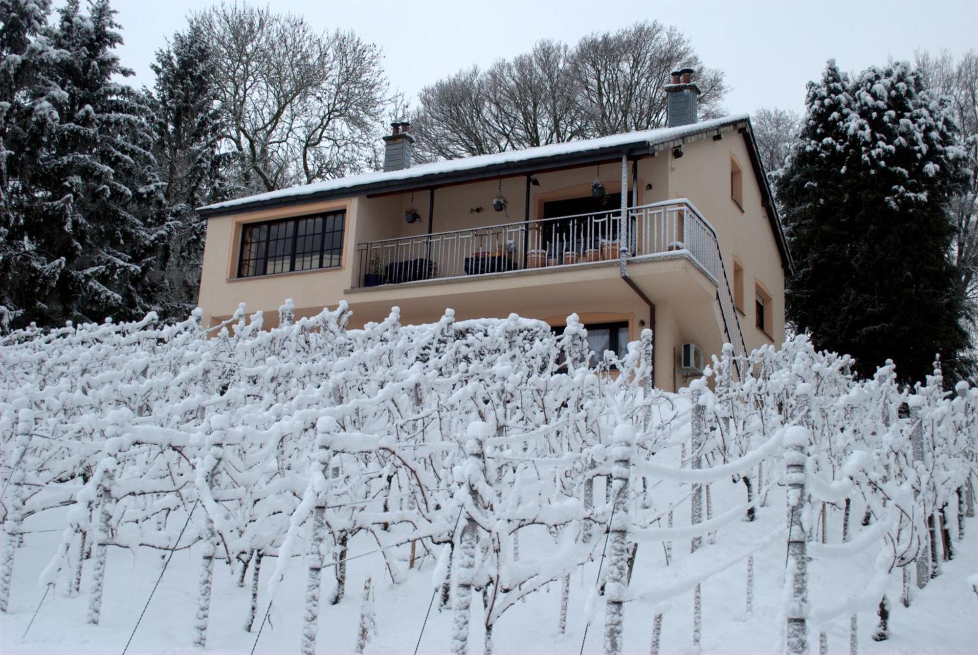 Appartement Casavitis Erholung Am Weinberg à Lontzen Extérieur photo