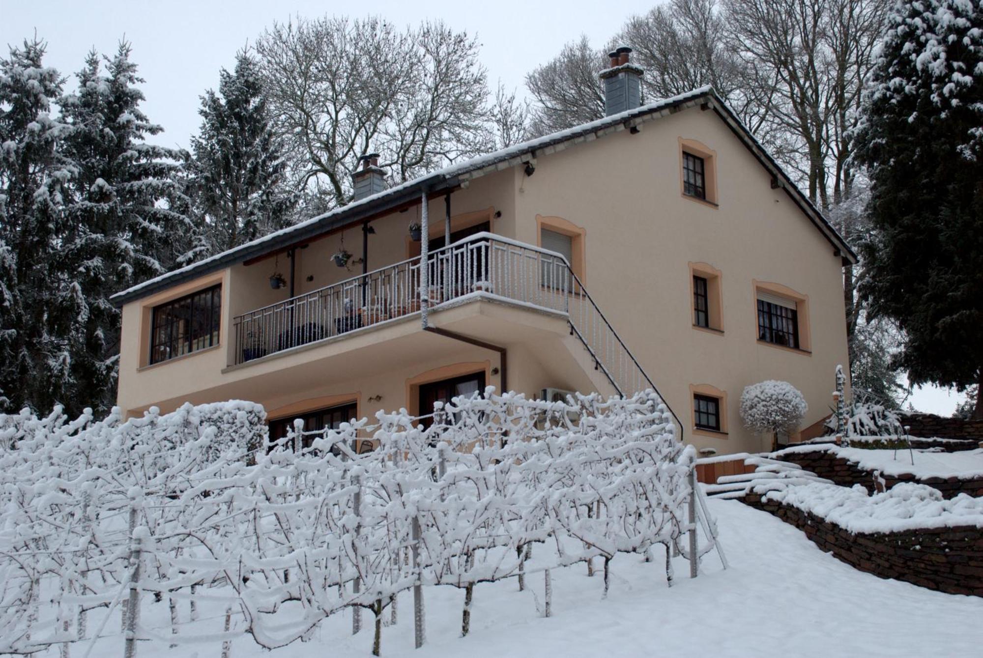 Appartement Casavitis Erholung Am Weinberg à Lontzen Extérieur photo